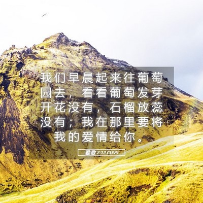 Picture 05 - 雅 歌 7:12 CUVS - 我 们 早 晨 起 来 往 葡 萄 园 去 ， - Bible Verse Picture