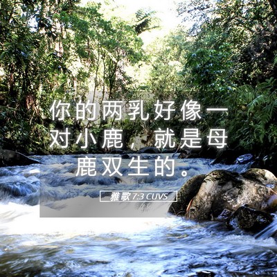 Picture 05 - 雅 歌 7:3 CUVS - 你 的 两 乳 好 像 一 对 小 鹿 ， 就 - Bible Verse Picture