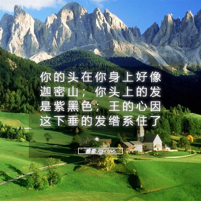 Picture 05 - 雅 歌 7:5 CUVS - 你 的 头 在 你 身 上 好 像 迦 密 山 - Bible Verse Picture
