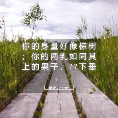 Picture 05 - 雅 歌 7:7 CUVS - 你 的 身 量 好 像 棕 树 ； 你 的 两 - Bible Verse Picture