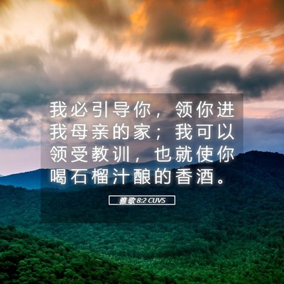 Picture 05 - 雅 歌 8:2 CUVS - 我 必 引 导 你 ， 领 你 进 我 母 亲 - Bible Verse Picture