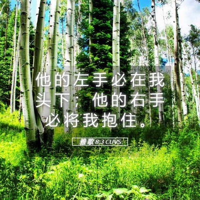 Picture 05 - 雅 歌 8:3 CUVS - 他 的 左 手 必 在 我 头 下 ； 他 的 - Bible Verse Picture