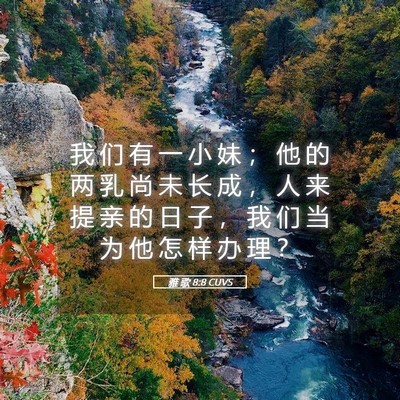 Picture 05 - 雅 歌 8:8 CUVS - 我 们 有 一 小 妹 ； 他 的 两 乳 尚 - Bible Verse Picture