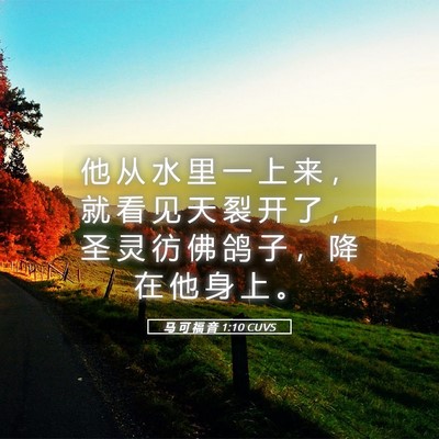 Picture 05 - 马 可 福 音 1:10 CUVS - 他 从 水 里 一 上 来 ， 就 看 见 天 - Bible Verse Picture
