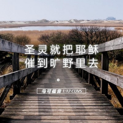 Picture 05 - 马 可 福 音 1:12 CUVS - 圣 灵 就 把 耶 稣 催 到 旷 野 里 去 - Bible Verse Picture