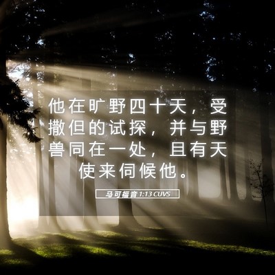 Picture 05 - 马 可 福 音 1:13 CUVS - 他 在 旷 野 四 十 天 ， 受 撒 但 的 - Bible Verse Picture