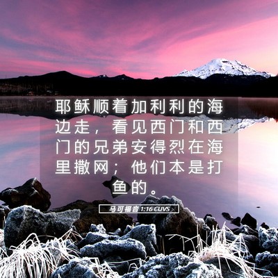 Picture 05 - 马 可 福 音 1:16 CUVS - 耶 稣 顺 着 加 利 利 的 海 边 走 ， - Bible Verse Picture