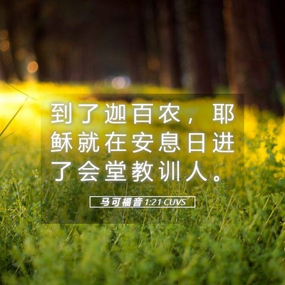 Picture 05 - 马 可 福 音 1:21 CUVS - 到 了 迦 百 农 ， 耶 稣 就 在 安 息 - Bible Verse Picture