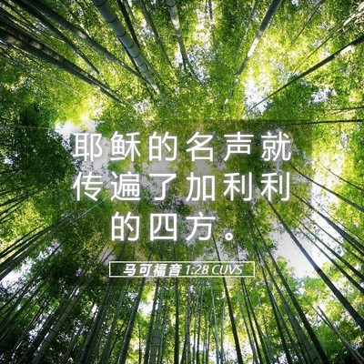 Picture 05 - 马 可 福 音 1:28 CUVS - 耶 稣 的 名 声 就 传 遍 了 加 利 利 - Bible Verse Picture
