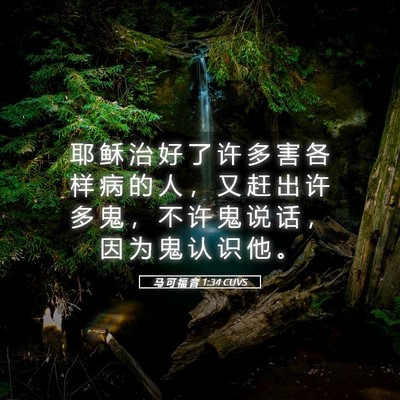 Picture 05 - 马 可 福 音 1:34 CUVS - 耶 稣 治 好 了 许 多 害 各 样 病 的 - Bible Verse Picture