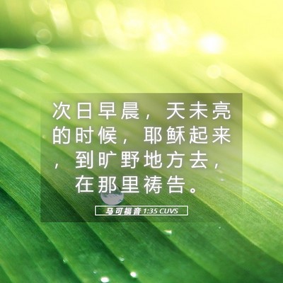 Picture 05 - 马 可 福 音 1:35 CUVS - 次 日 早 晨 ， 天 未 亮 的 时 候 ， - Bible Verse Picture