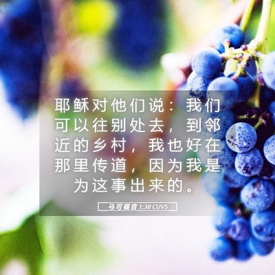 Picture 05 - 马 可 福 音 1:38 CUVS - 耶 稣 对 他 们 说 ： 我 们 可 以 往 - Bible Verse Picture
