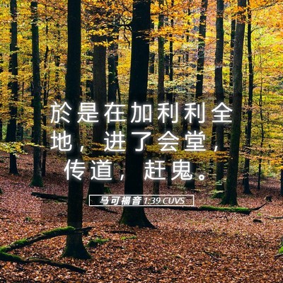 Picture 05 - 马 可 福 音 1:39 CUVS - 於 是 在 加 利 利 全 地 ， 进 了 会 - Bible Verse Picture