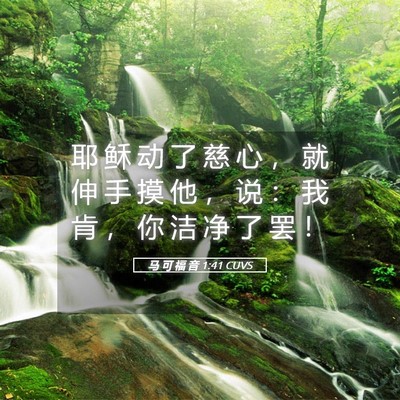 Picture 05 - 马 可 福 音 1:41 CUVS - 耶 稣 动 了 慈 心 ， 就 伸 手 摸 他 - Bible Verse Picture