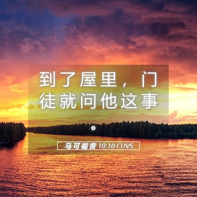 Picture 05 - 马 可 福 音 10:10 CUVS - 到 了 屋 里 ， 门 徒 就 问 他 这 事 - Bible Verse Picture