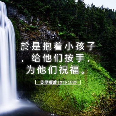 Picture 05 - 马 可 福 音 10:16 CUVS - 於 是 抱 着 小 孩 子 ， 给 他 们 按 - Bible Verse Picture