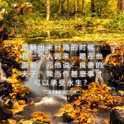 Picture 05 - 马 可 福 音 10:17 CUVS - 耶 稣 出 来 行 路 的 时 候 ， 有 一 - Bible Verse Picture