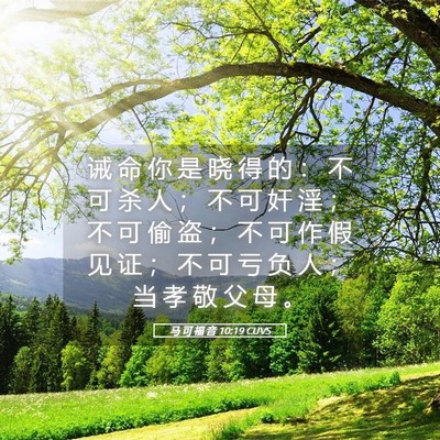 Picture 05 - 马 可 福 音 10:19 CUVS - 诫 命 你 是 晓 得 的 ： 不 可 杀 人 - Bible Verse Picture