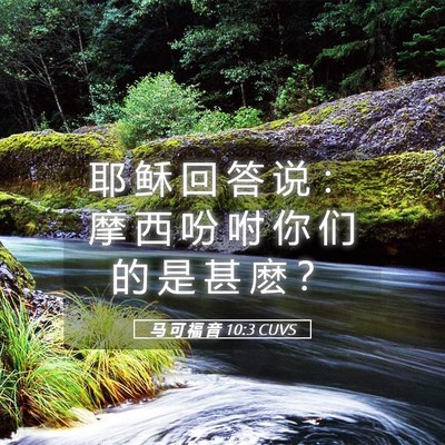 Picture 05 - 马 可 福 音 10:3 CUVS - 耶 稣 回 答 说 ： 摩 西 吩 咐 你 们 - Bible Verse Picture