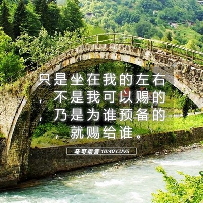 Picture 05 - 马 可 福 音 10:40 CUVS - 只 是 坐 在 我 的 左 右 ， 不 是 我 - Bible Verse Picture