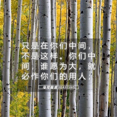 Picture 05 - 马 可 福 音 10:43 CUVS - 只 是 在 你 们 中 间 ， 不 是 这 样 - Bible Verse Picture