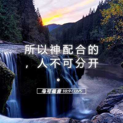 Picture 05 - 马 可 福 音 10:9 CUVS - 所 以 神 配 合 的 ， 人 不 可 分 开 - Bible Verse Picture