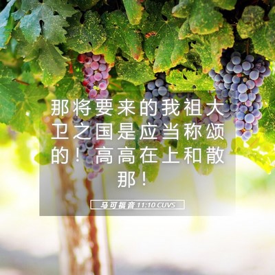 Picture 05 - 马 可 福 音 11:10 CUVS - 那 将 要 来 的 我 祖 大 卫 之 国 是 - Bible Verse Picture