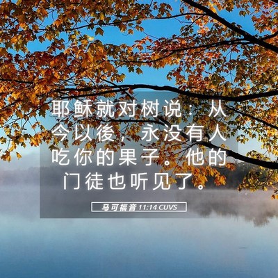 Picture 05 - 马 可 福 音 11:14 CUVS - 耶 稣 就 对 树 说 ： 从 今 以 後 ， - Bible Verse Picture