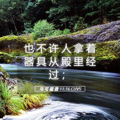 Picture 05 - 马 可 福 音 11:16 CUVS - 也 不 许 人 拿 着 器 具 从 殿 里 经 - Bible Verse Picture