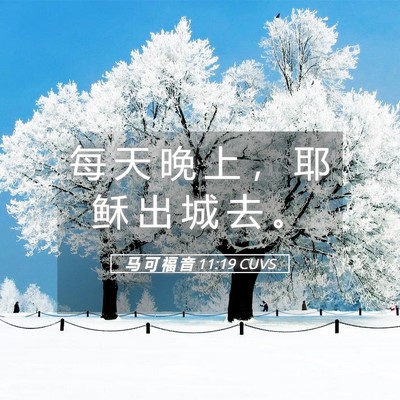 Picture 05 - 马 可 福 音 11:19 CUVS - 每 天 晚 上 ， 耶 稣 出 城 去 - Bible Verse Picture