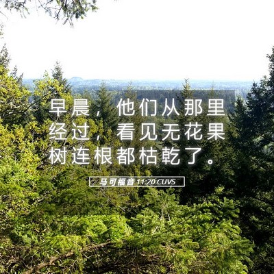 Picture 05 - 马 可 福 音 11:20 CUVS - 早 晨 ， 他 们 从 那 里 经 过 ， 看 - Bible Verse Picture
