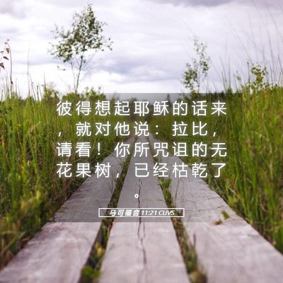 Picture 05 - 马 可 福 音 11:21 CUVS - 彼 得 想 起 耶 稣 的 话 来 ， 就 对 - Bible Verse Picture