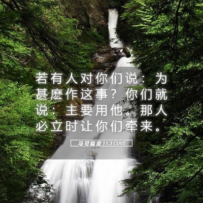 Picture 05 - 马 可 福 音 11:3 CUVS - 若 有 人 对 你 们 说 ： 为 甚 麽 作 - Bible Verse Picture
