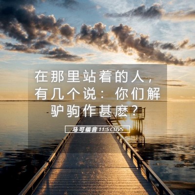 Picture 05 - 马 可 福 音 11:5 CUVS - 在 那 里 站 着 的 人 ， 有 几 个 说 - Bible Verse Picture