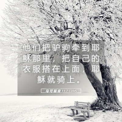 Picture 05 - 马 可 福 音 11:7 CUVS - 他 们 把 驴 驹 牵 到 耶 稣 那 里 ， - Bible Verse Picture