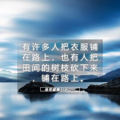 Picture 05 - 马 可 福 音 11:8 CUVS - 有 许 多 人 把 衣 服 铺 在 路 上 ， - Bible Verse Picture
