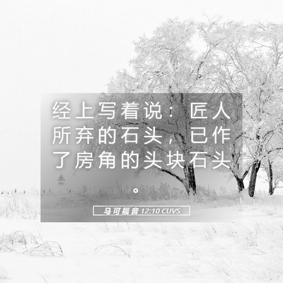 Picture 05 - 马 可 福 音 12:10 CUVS - 经 上 写 着 说 ： 匠 人 所 弃 的 石 - Bible Verse Picture