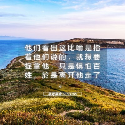 Picture 05 - 马 可 福 音 12:12 CUVS - 他 们 看 出 这 比 喻 是 指 着 他 们 - Bible Verse Picture