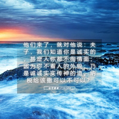 Picture 05 - 马 可 福 音 12:14 CUVS - 他 们 来 了 ， 就 对 他 说 ： 夫 子 - Bible Verse Picture