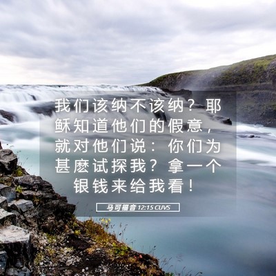 Picture 05 - 马 可 福 音 12:15 CUVS - 我 们 该 纳 不 该 纳 ？ 耶 稣 知 道 - Bible Verse Picture