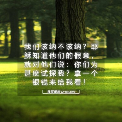 Picture 05 - 马 可 福 音 12:16 CUVS - 我 们 该 纳 不 该 纳 ？ 耶 稣 知 道 - Bible Verse Picture