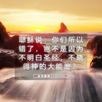 Picture 05 - 马 可 福 音 12:24 CUVS - 耶 稣 说 ： 你 们 所 以 错 了 ， 岂 - Bible Verse Picture
