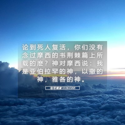 Picture 05 - 马 可 福 音 12:26 CUVS - 论 到 死 人 复 活 ， 你 们 没 有 念 - Bible Verse Picture