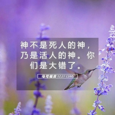 Picture 05 - 马 可 福 音 12:27 CUVS - 神 不 是 死 人 的 神 ， 乃 是 活 人 - Bible Verse Picture