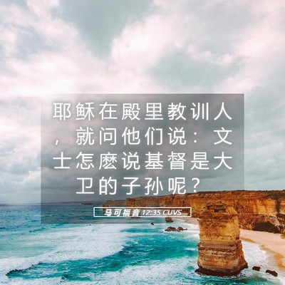 Picture 05 - 马 可 福 音 12:35 CUVS - 耶 稣 在 殿 里 教 训 人 ， 就 问 他 - Bible Verse Picture