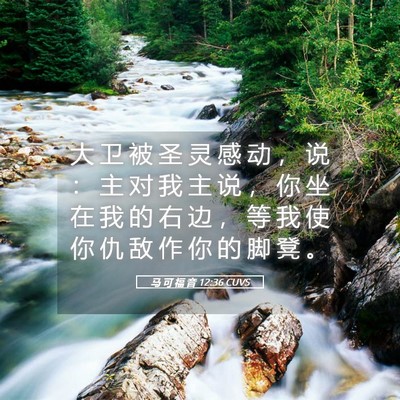 Picture 05 - 马 可 福 音 12:36 CUVS - 大 卫 被 圣 灵 感 动 ， 说 ： 主 对 - Bible Verse Picture