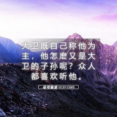 Picture 05 - 马 可 福 音 12:37 CUVS - 大 卫 既 自 己 称 他 为 主 ， 他 怎 - Bible Verse Picture