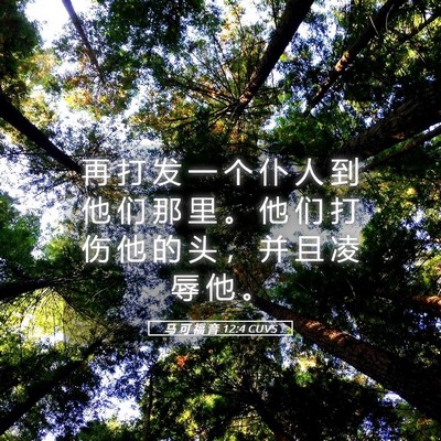 Picture 05 - 马 可 福 音 12:4 CUVS - 再 打 发 一 个 仆 人 到 他 们 那 里 - Bible Verse Picture