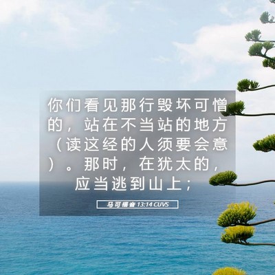 Picture 05 - 马 可 福 音 13:14 CUVS - 你 们 看 见 那 行 毁 坏 可 憎 的 ， - Bible Verse Picture