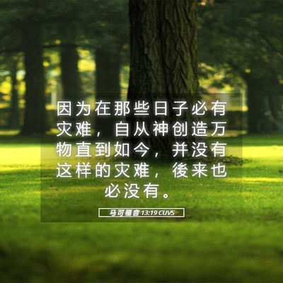Picture 05 - 马 可 福 音 13:19 CUVS - 因 为 在 那 些 日 子 必 有 灾 难 ， - Bible Verse Picture